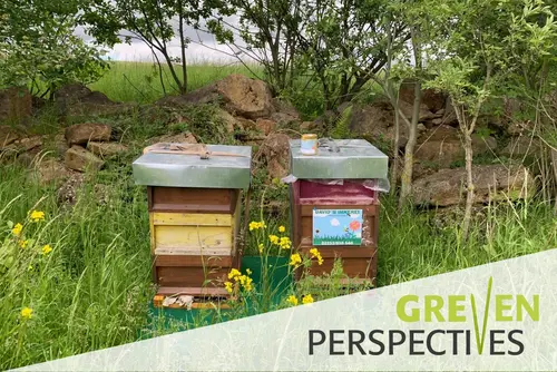 Bienenstöcke auf dem Gelände von Peter Greven